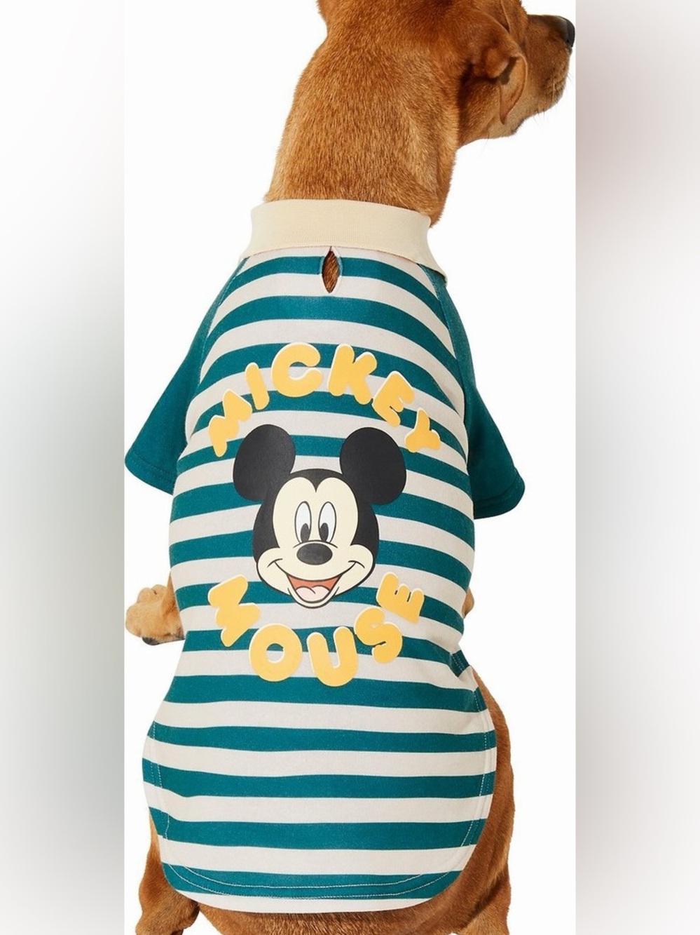 Disney Mickey Mouse Pet Shirt XL Green Striped Dog Tee